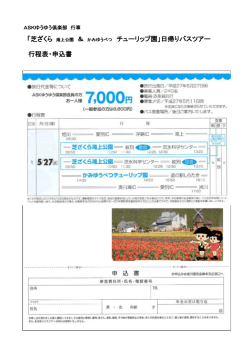 「芝ざくら 滝上公園 ＆ かみゆうべつ チューリップ園」日帰りバスツアー